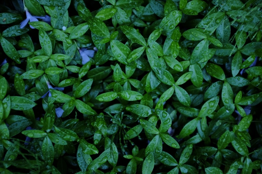 f0167379_00232910.jpg