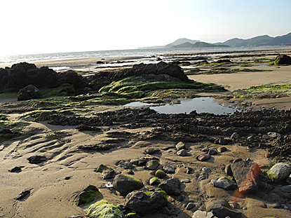 Tide Pool タイドプール Shopmasterのひとりごと