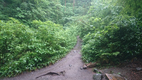 e0015490_20173376.jpg