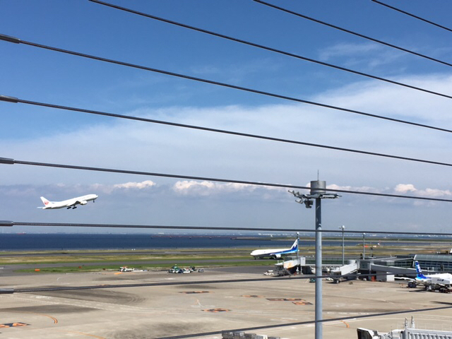 夫の実家の猫と帰路と飛行機とてぶっちょ_d0360391_21170842.jpg