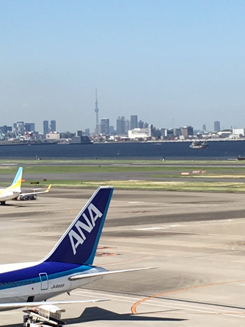 夫の実家の猫と帰路と飛行機とてぶっちょ_d0360391_21170877.jpg