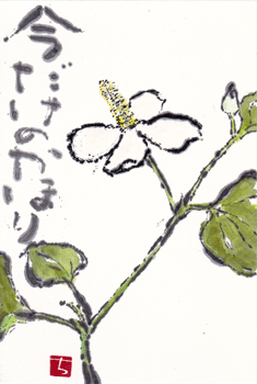 a0030594_22590398.gif