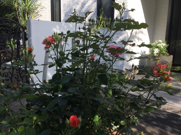 f0268294_16034241.jpg