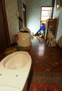 c0039501_09010387.jpg