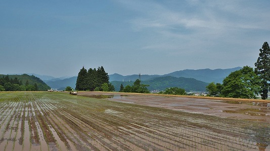 今日の文書配布はバイクで!_c0336902_21084001.jpg
