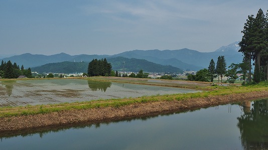 今日の文書配布はバイクで!_c0336902_21084470.jpg