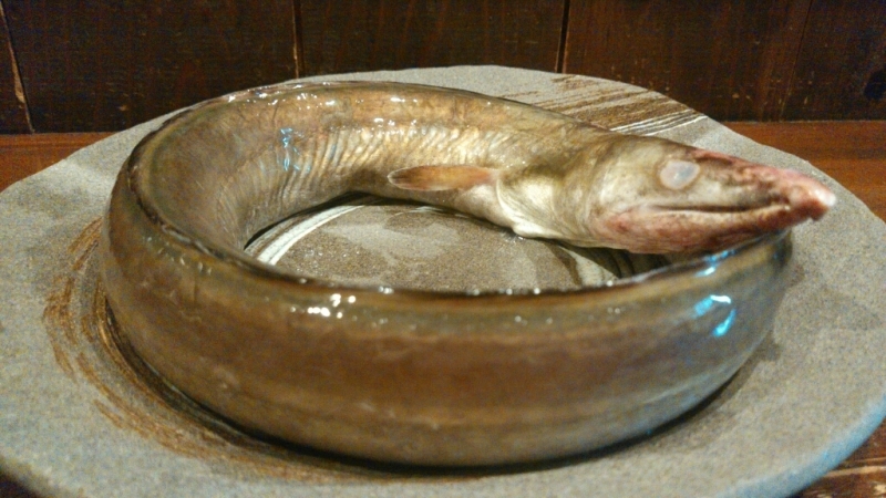 d0256703_17145730.jpg