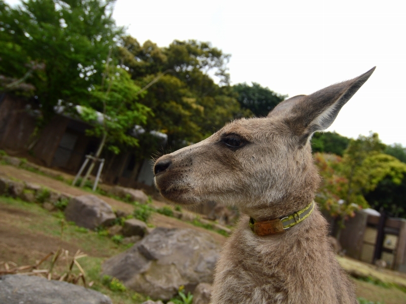 どんな日でも_a0164204_11442140.jpg