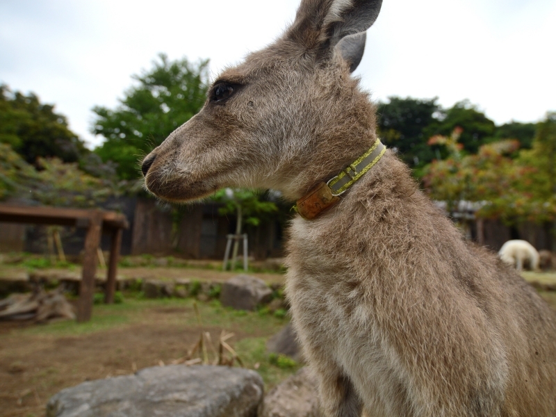 どんな日でも_a0164204_12175621.jpg