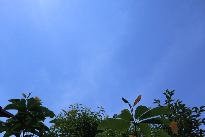 e0034013_11264376.jpg