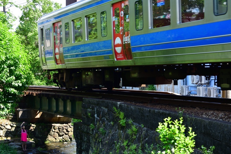 源兵衛川界隈　伊豆箱根鉄道_e0362418_11511461.jpg