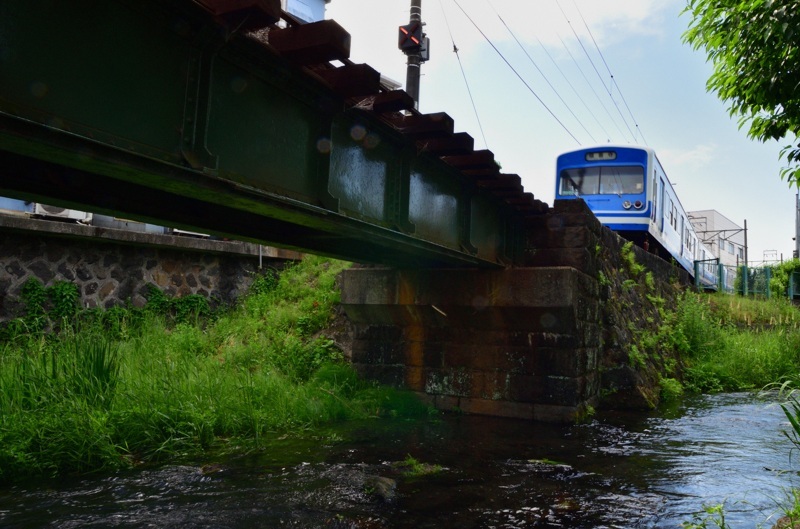 源兵衛川界隈　伊豆箱根鉄道_e0362418_11520868.jpg