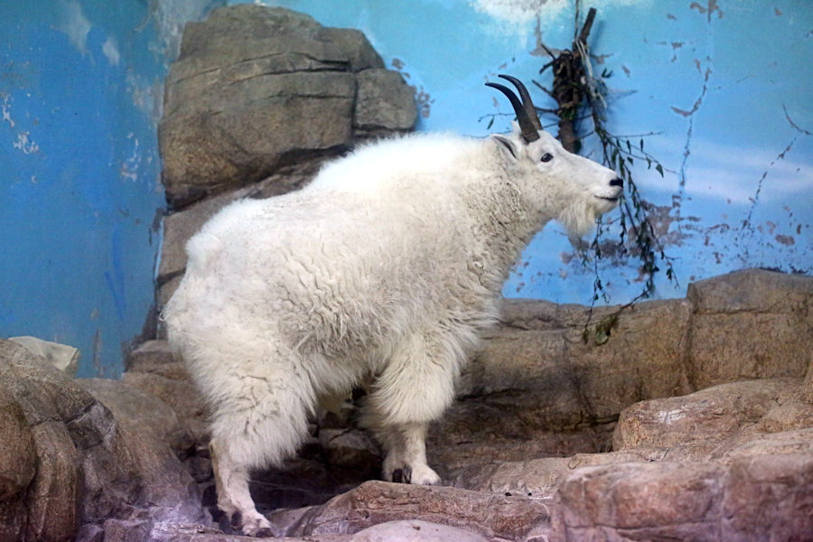 f0224624_11182435.jpg