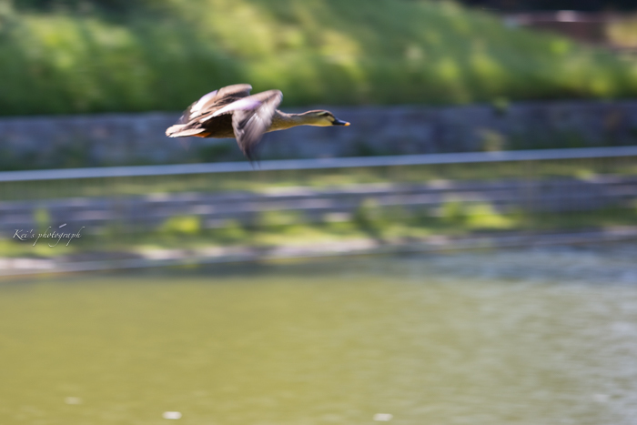 スライディング_c0235725_21582830.jpg