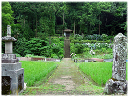 温泉津から石見銀山へ(追記)_d0221430_21111660.jpg