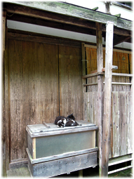 温泉津から石見銀山へ(追記)_d0221430_21115709.jpg