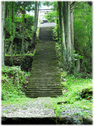 温泉津から石見銀山へ(追記)_d0221430_21151373.jpg