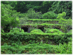 温泉津から石見銀山へ(追記)_d0221430_21162120.jpg