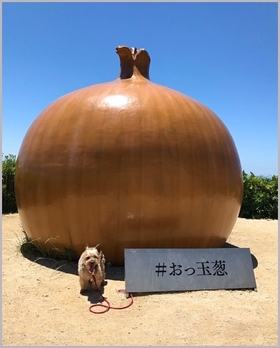 淡路島キス釣り一泊旅行？ 絶景レストラン うずの丘_d0017632_17390362.jpg