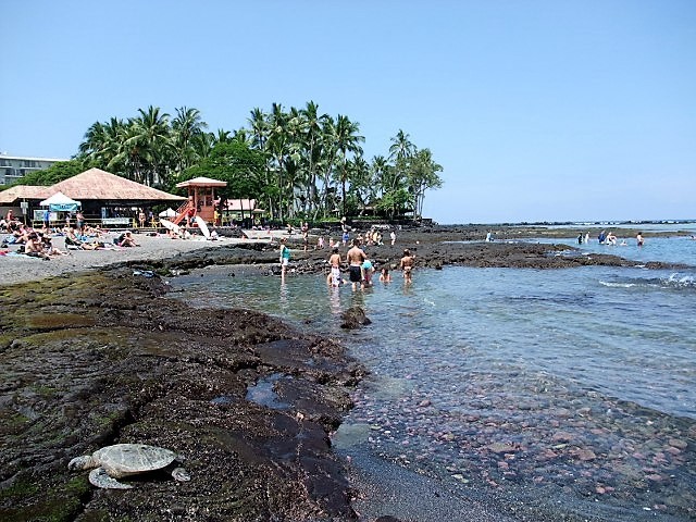 d0240534_20545822.jpg