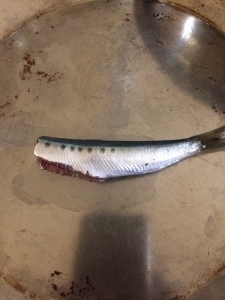 自家製オイルサーディン_a0059035_23014675.jpg