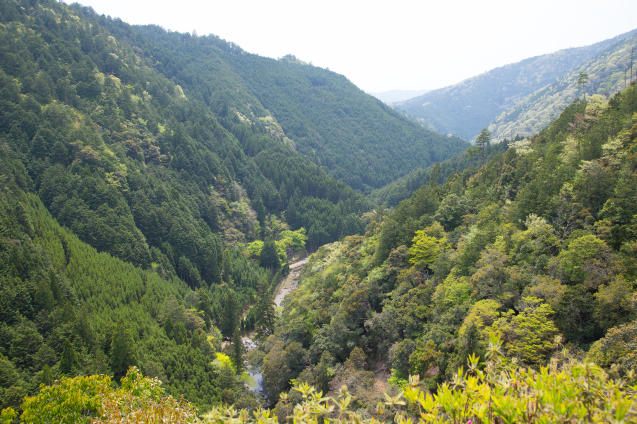 e0369736_08055036.jpg