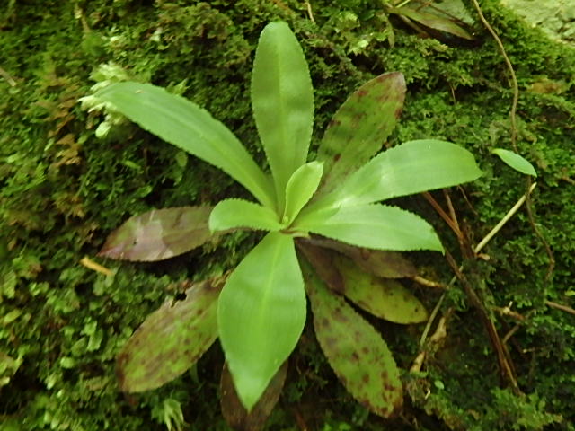 f0334143_20132714.jpg