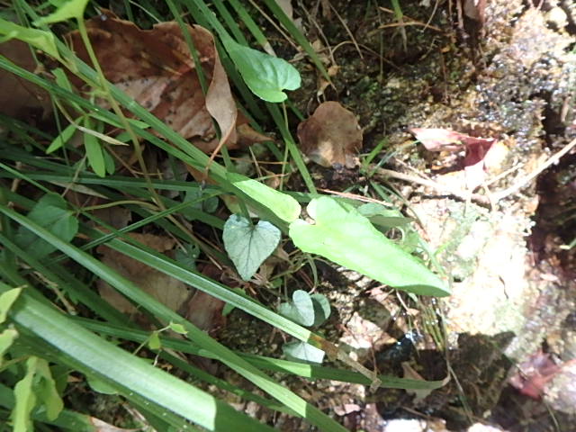f0334143_20174876.jpg