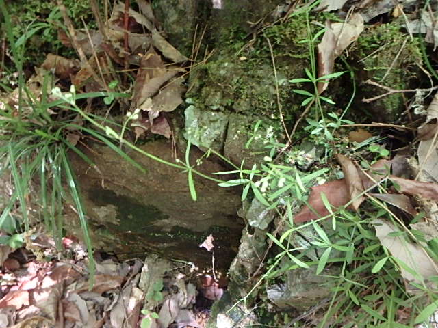 f0334143_2018059.jpg