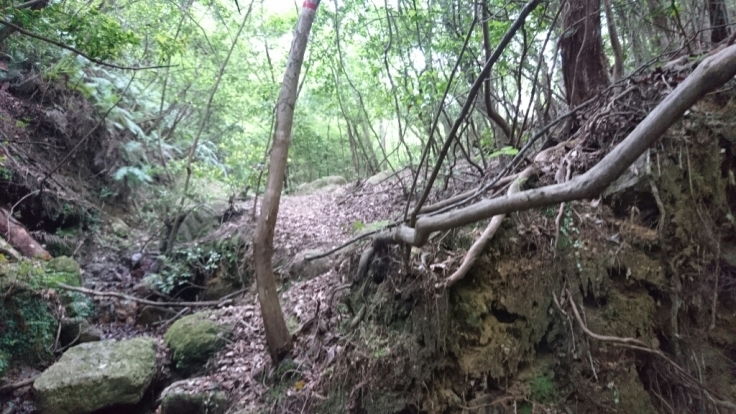 b0148050_20362109.jpg