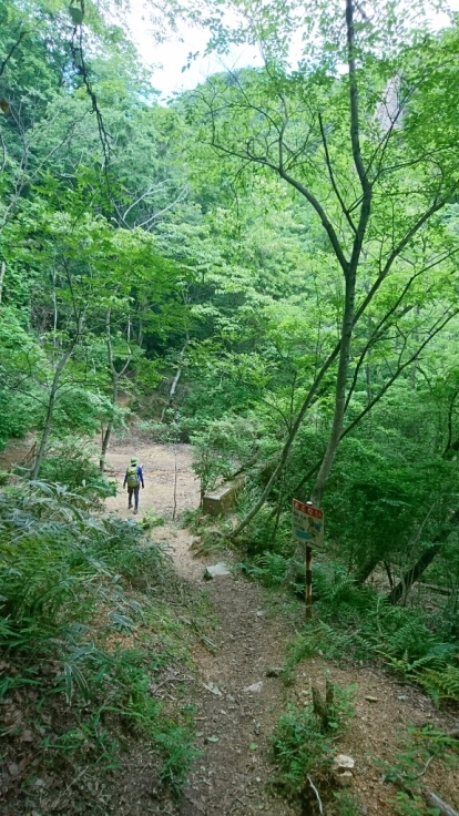 六甲　芦屋川駅～地獄谷〜荒地山～芦屋川駅_b0148050_20364359.jpg