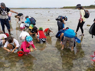 ５月２７日の観察会_c0180460_218437.jpg