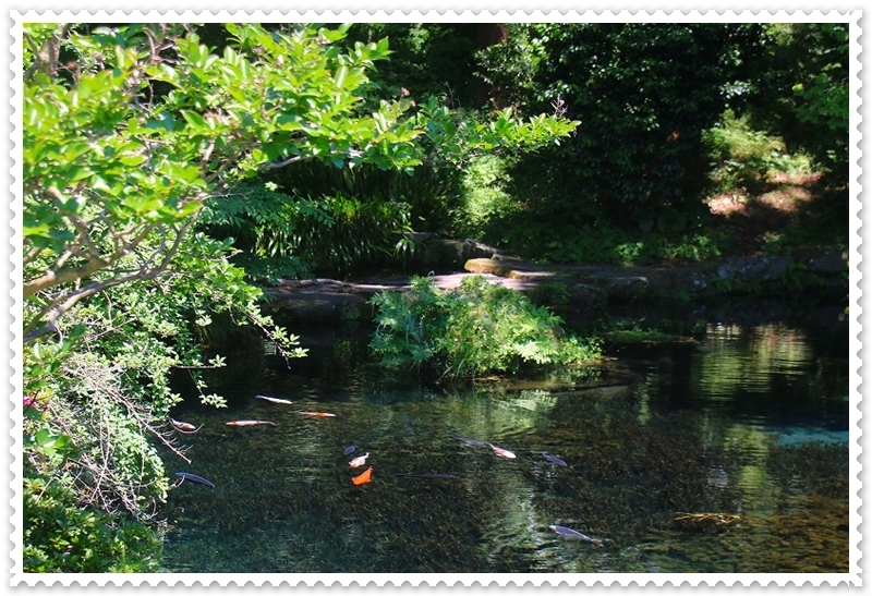 萌の里経由で明神名水公園へ_d0102968_06221342.jpg