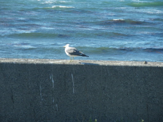 c0069380_12354399.jpg