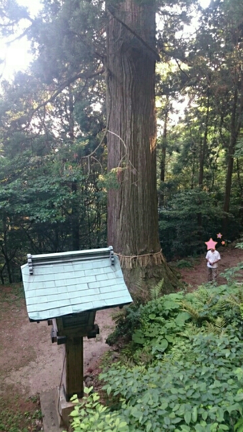 d0362800_10245904.jpg