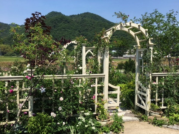 a0123003_17543521.jpg