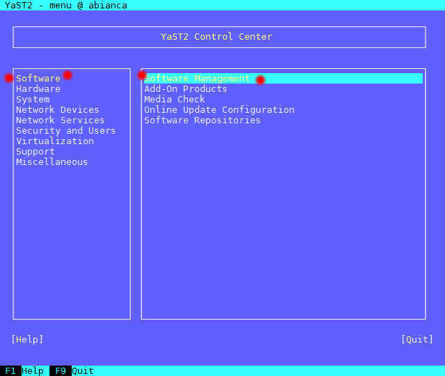 YaST (yast2) による SUSE Linux のパッケージ管理, インストールと削除_a0056607_16070011.jpg