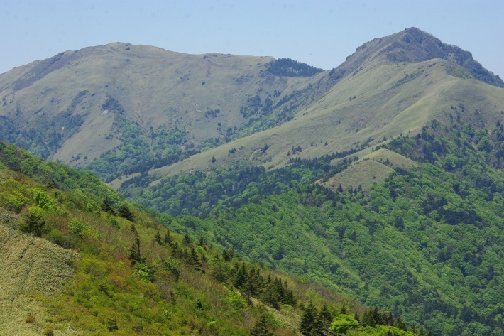 d0341514_22103653.jpg