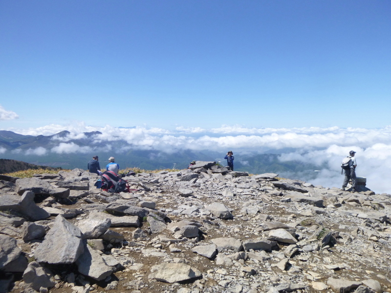 d0170615_08243346.jpg
