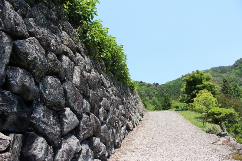 デカス：こんな場所の寒茶_b0220318_09522727.jpg