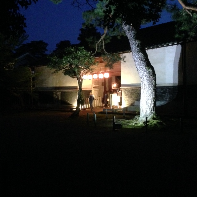 北方文化博物館 藤とその後_e0135219_20504448.jpg