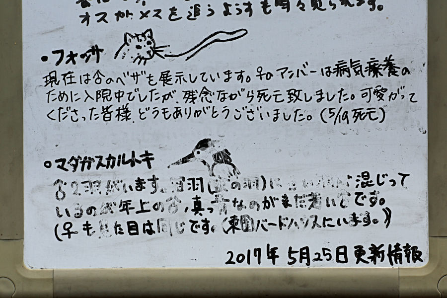 f0224624_18144985.jpg