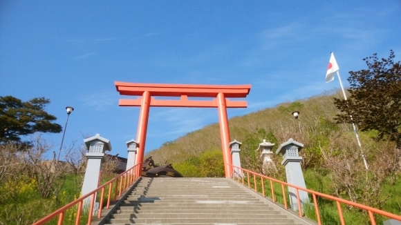 旅日記⑪2017.5-6　羅臼二日目～羅臼神社と展望台_a0266139_01442414.jpg