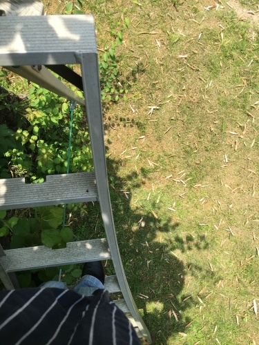 b0346442_12040539.jpeg