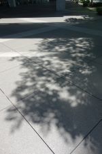 e0080345_07200646.jpg