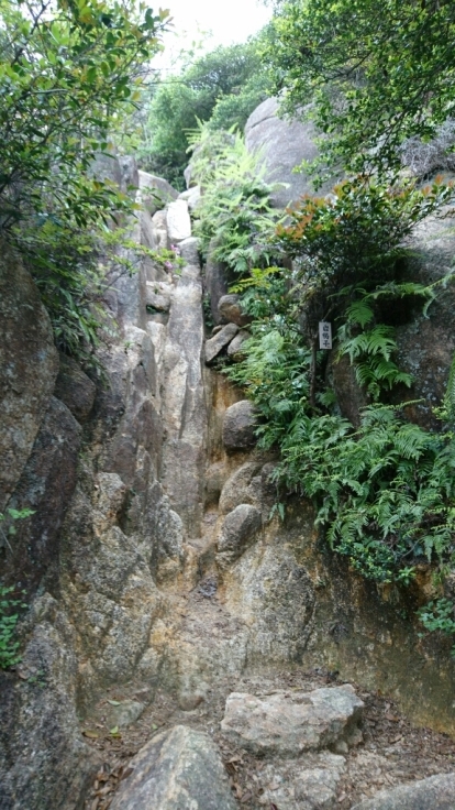 b0148050_18372622.jpg