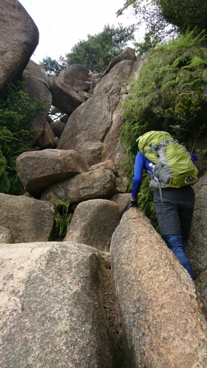 b0148050_18455116.jpg