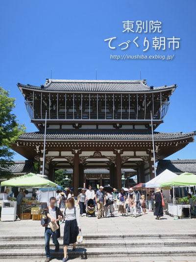 柴犬連れて\"東別院てづくり朝市\"へ行ってみた！@名古屋市中区 【フォトムービーあり】】_a0286855_06242230.jpg