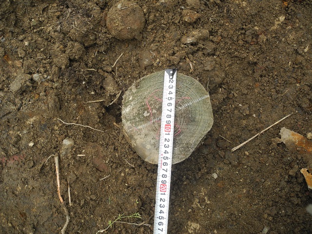c0247768_1494132.jpg