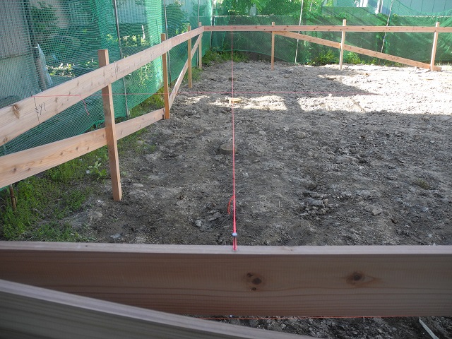 c0247768_1494510.jpg